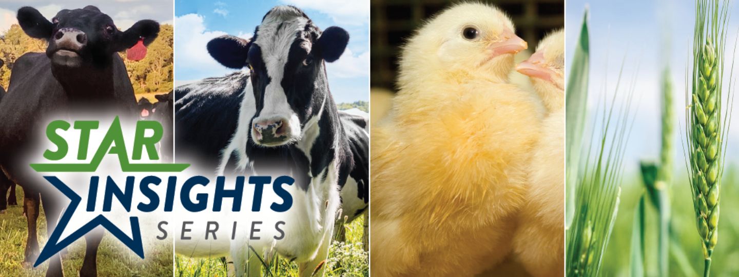 Crops and Grains Farm Credit of the Virginias